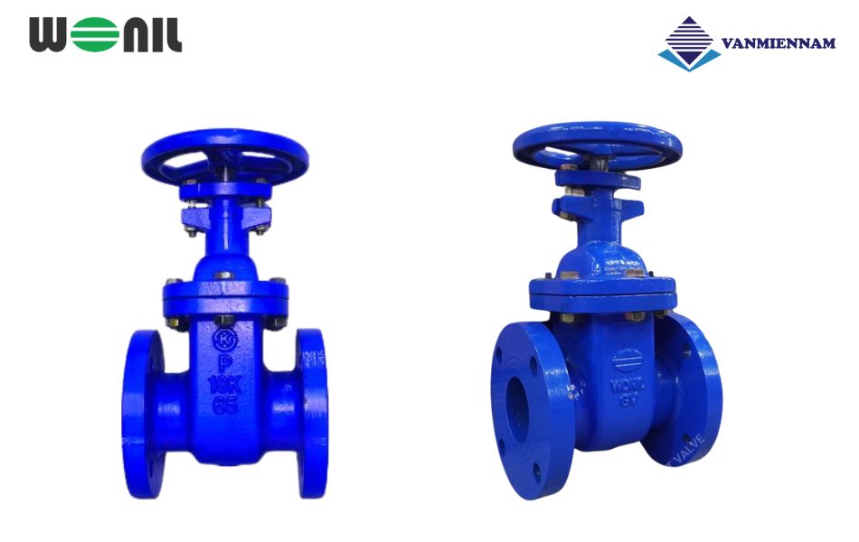 Khám phá dòng van cổng gang ty nổi Wonil DN65