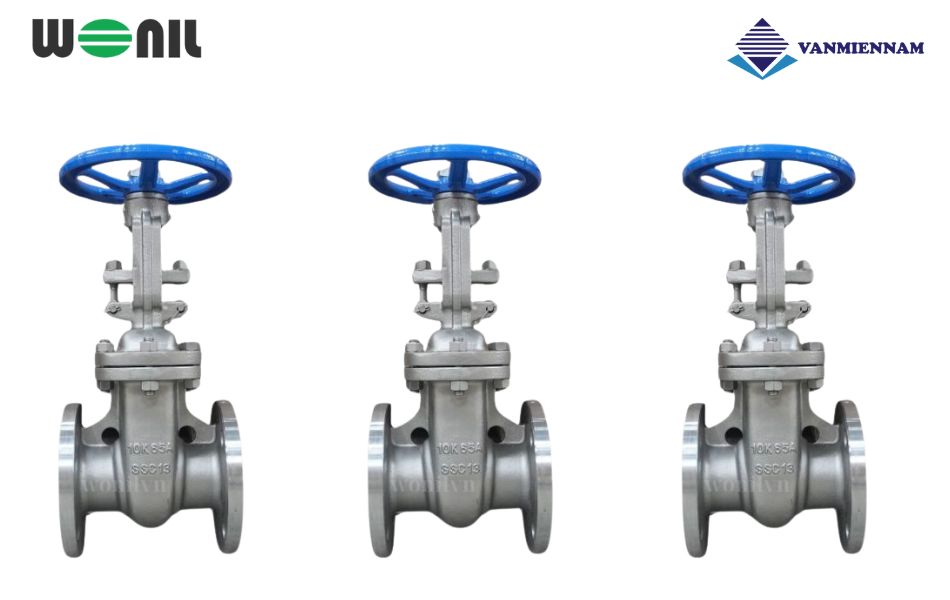 Tổng quan về van cổng ty nổi inox Wonil DN65 