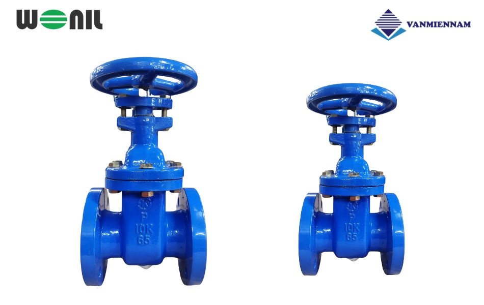 Chi tiết van cổng gang ty chìm Wonil DN65