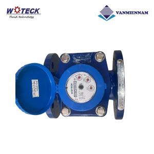 Đồng hồ nước dạng cơ Woteck DN65