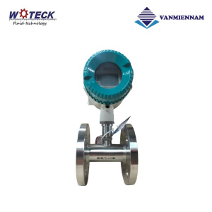 Đồng hồ tuabin điện từ Woteck DN32