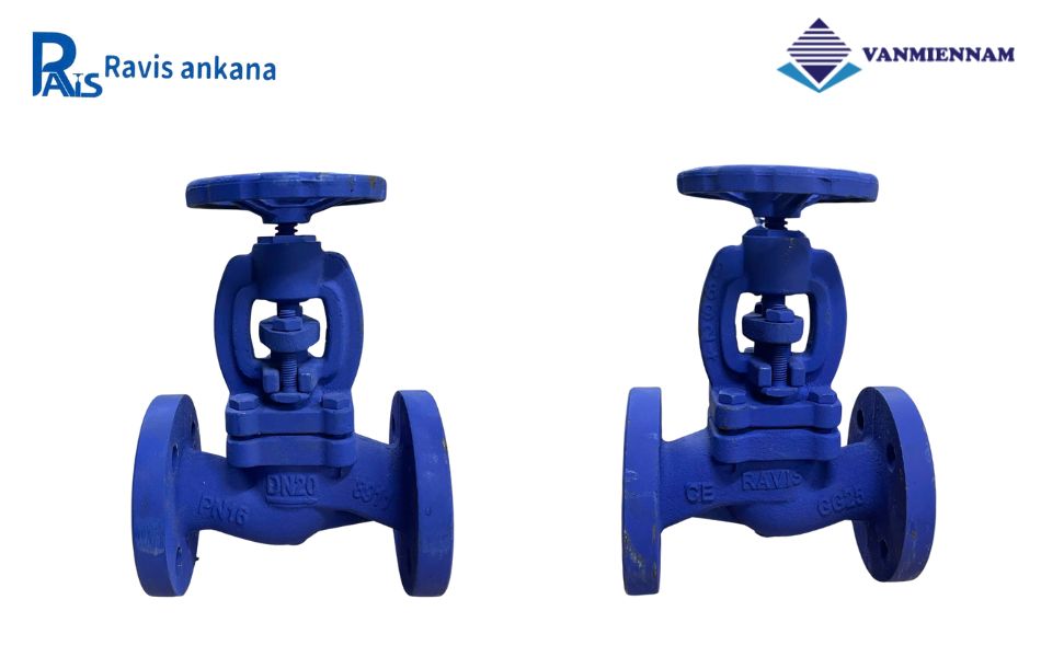 Khám phá về van cầu hơi gang Ravis DN20