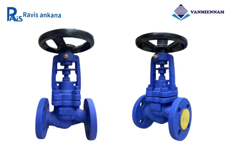 Khám phá dòng van cầu hơi thép Ravis DN15