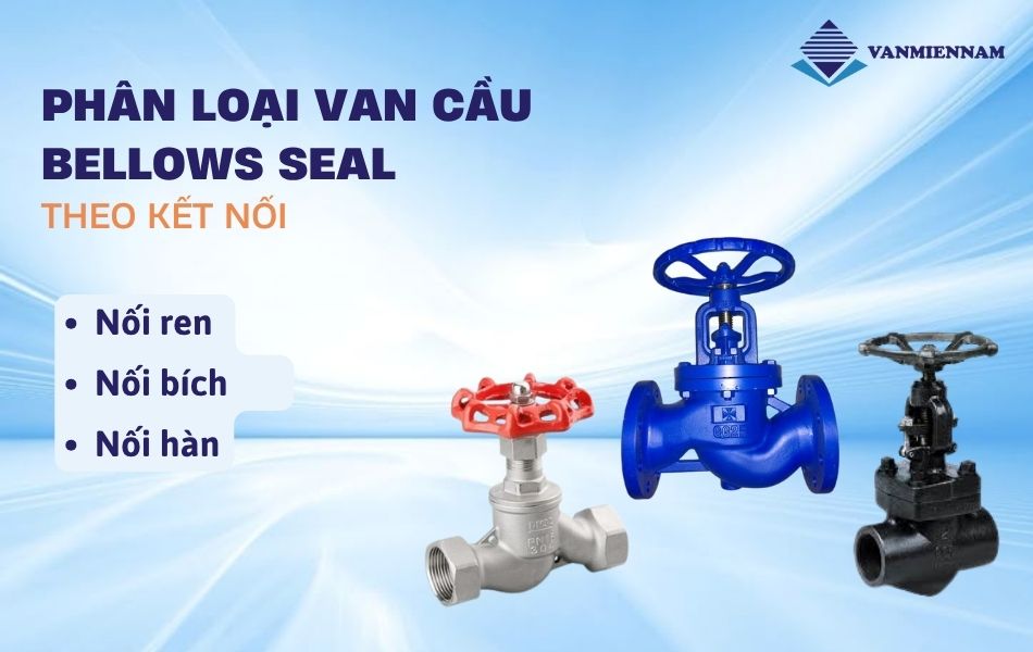 Phân loại van cầu Bellows Seal theo kết nối