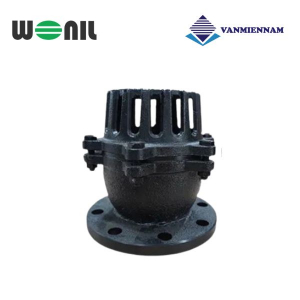 Rọ bơm gang Wonil DN50