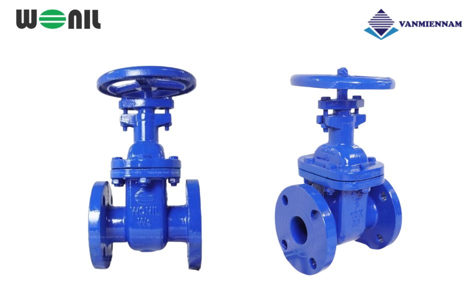 Tổng quan về van cổng gang ty chìm Wonil DN50