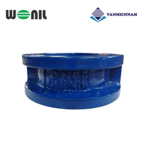 Van 1 chiều cánh bướm gang Wonil DN65