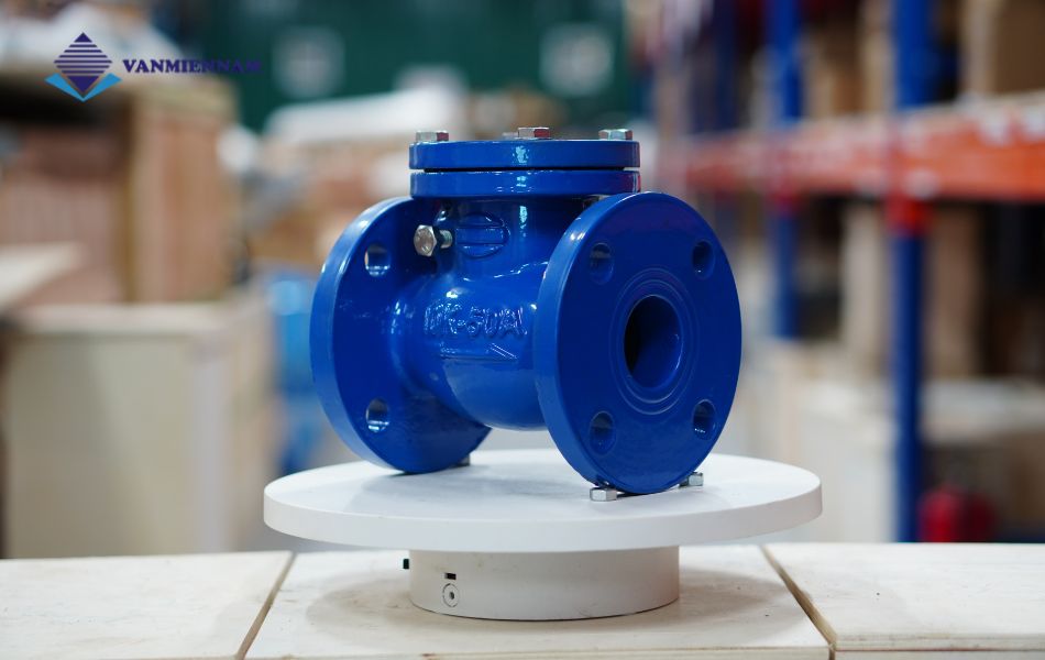 van 1 chiều lá lật gang mặt bích Wonil DN50