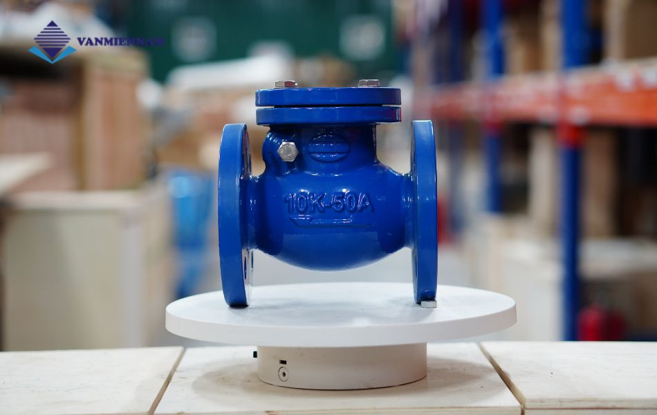 van 1 chiều lá lật gang mặt bích Wonil DN50