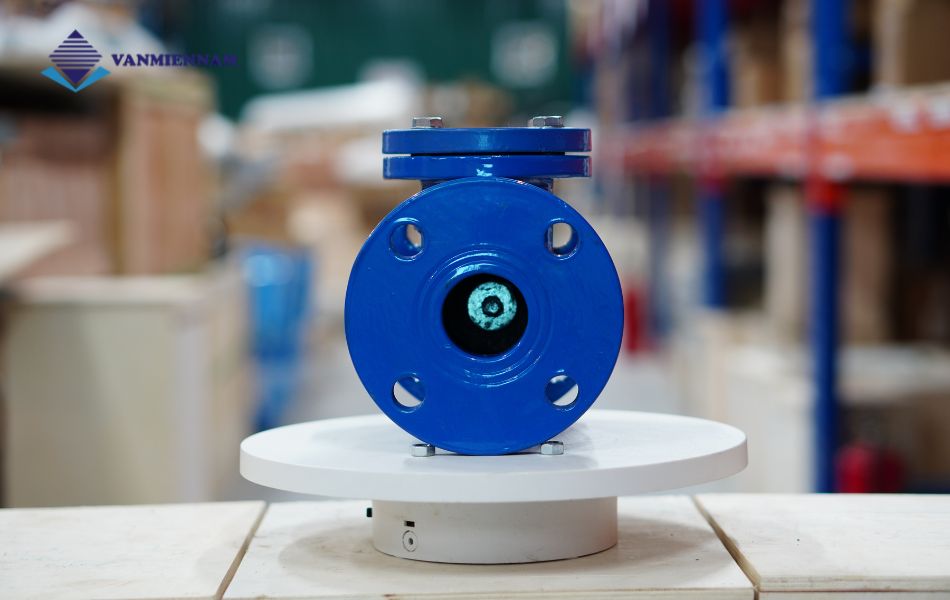 van 1 chiều lá lật gang mặt bích Wonil DN50