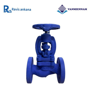 Van cầu hơi gang Ravis DN15