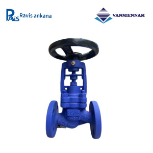 Van cầu hơi thép Ravis DN15