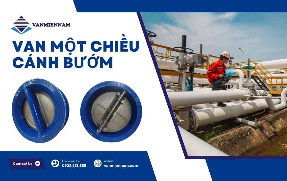 Van 1 chiều cánh bướm