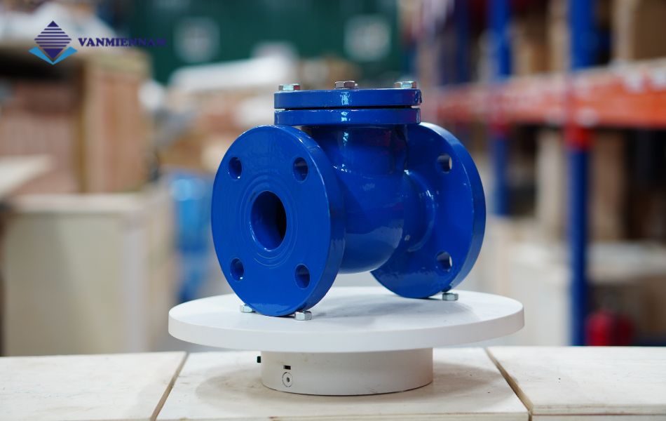 van 1 chiều lá lật gang mặt bích Wonil DN50