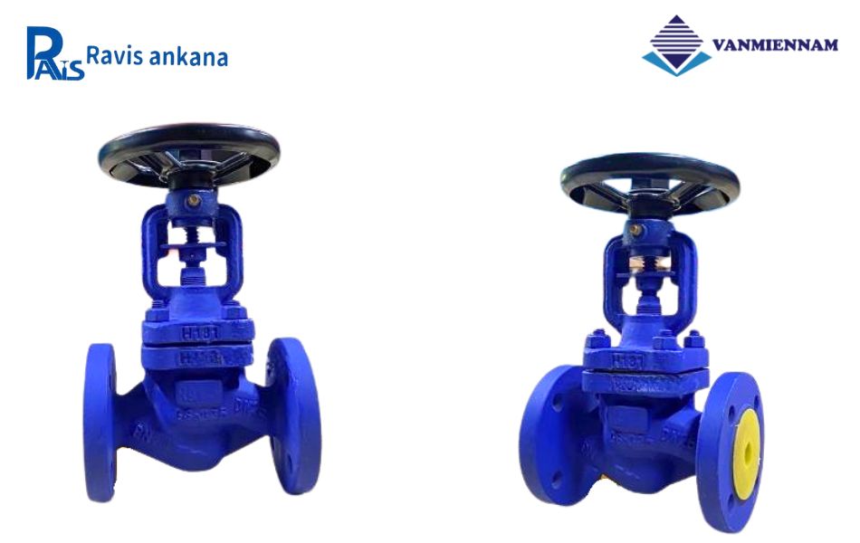 Chi tiết về van cầu hơi thép Ravis DN25