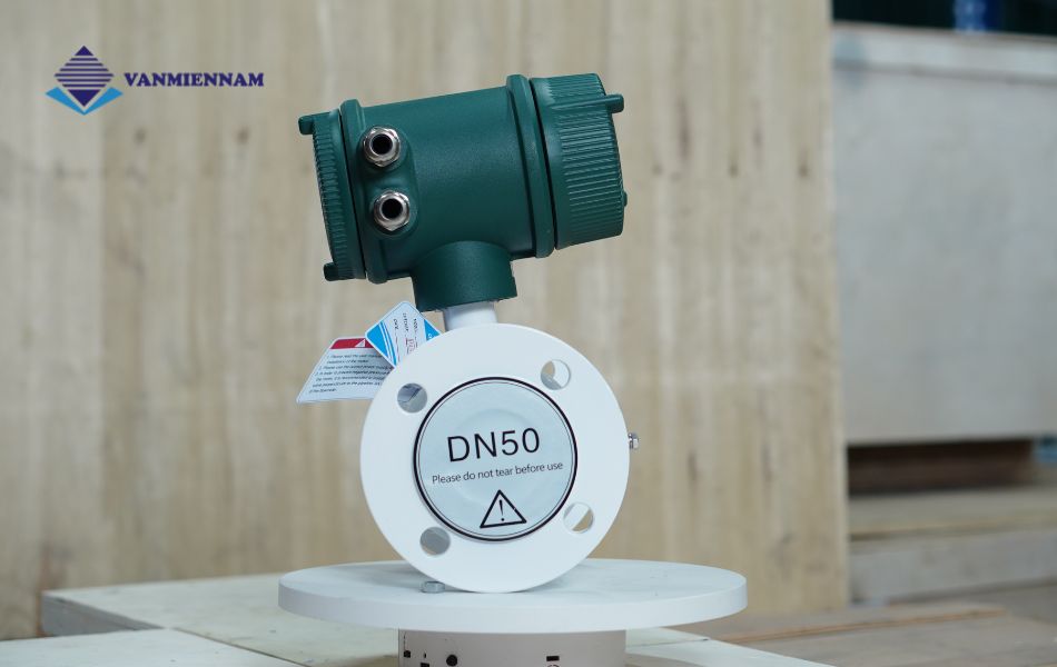 Đồng hồ nước điện tử Woteck DN50
