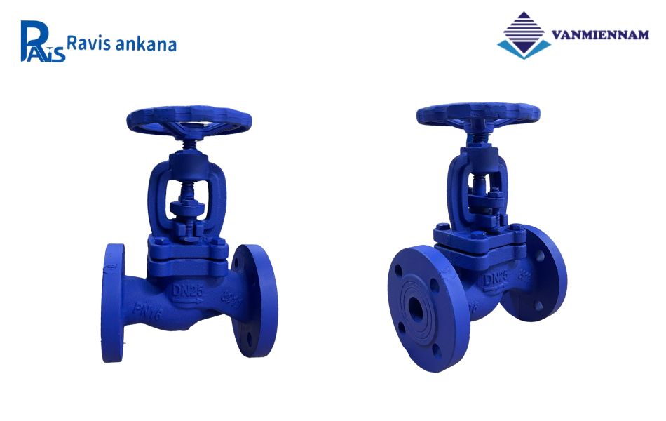 Giới thiệu về van cầu hơi gang Ravis DN25