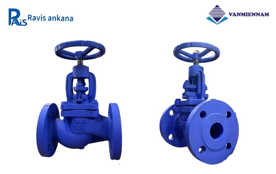 Khám phá về van cầu hơi gang Ravis DN40