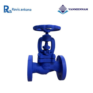 Van cầu hơi gang Ravis DN25