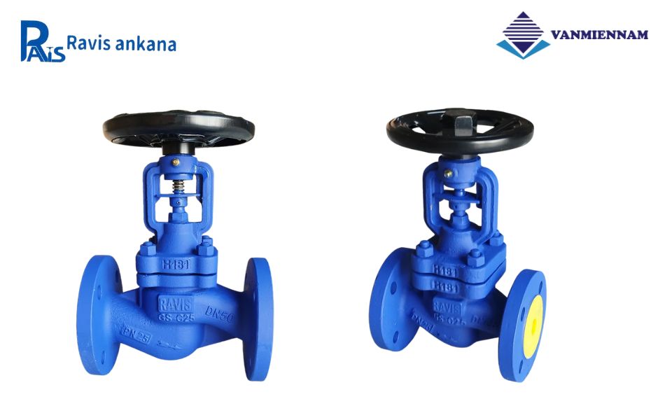 Chi tiết về van cầu hơi thép Ravis DN50