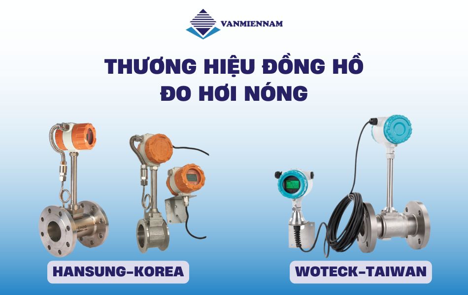 Thương hiệu đồng hồ đo lưu lượng hơi nóng 