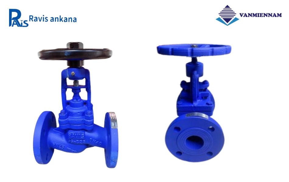 Tổng quan van cầu hơi thép Ravis DN40