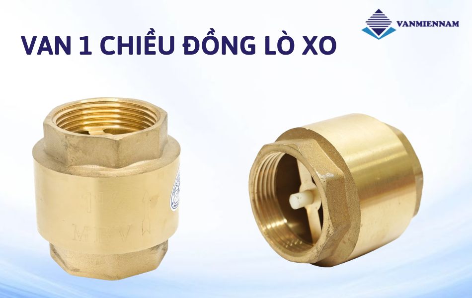 Van 1 chiều đồng lò xo