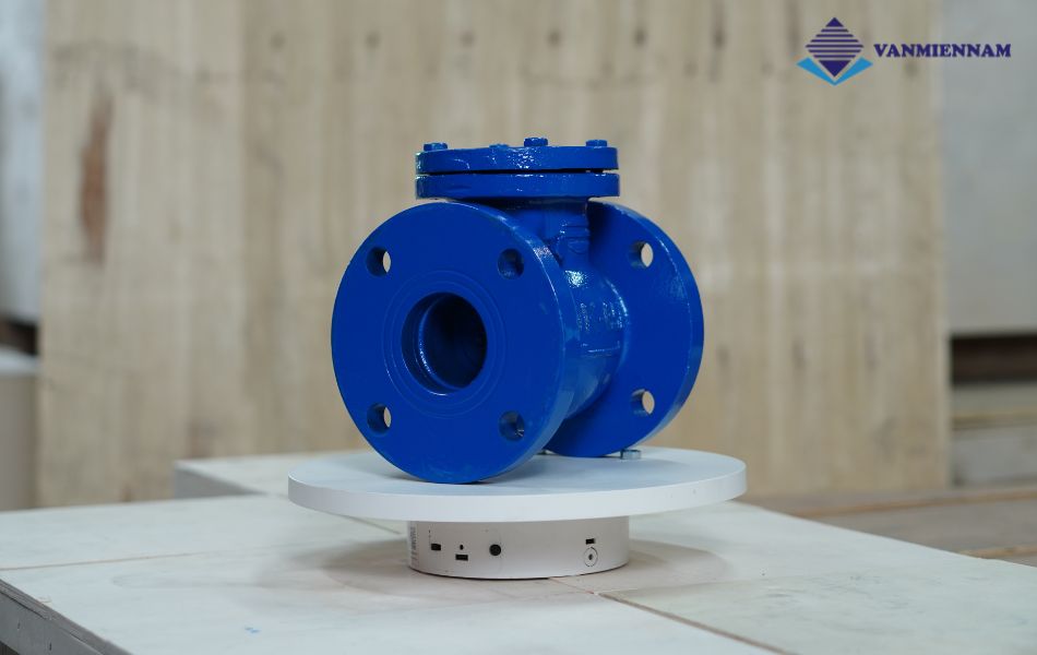 van 1 chiều lá lật gang mặt bích Wonil DN65