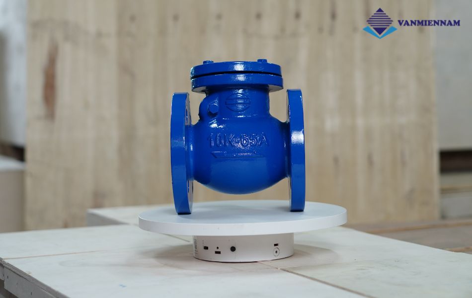 van 1 chiều lá lật gang mặt bích Wonil DN65