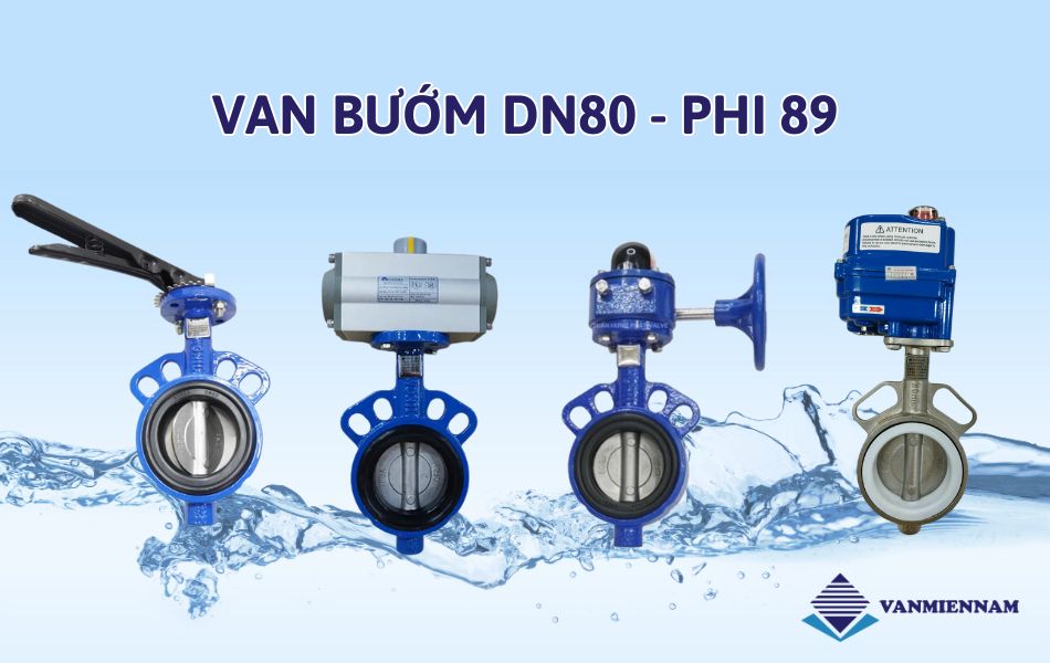 Van bướm DN80