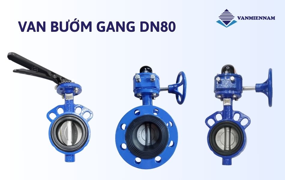 Van bướm gang DN80
