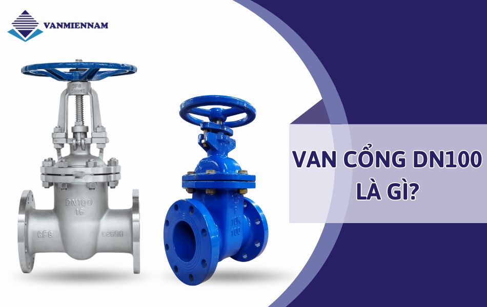 van cổng dn100