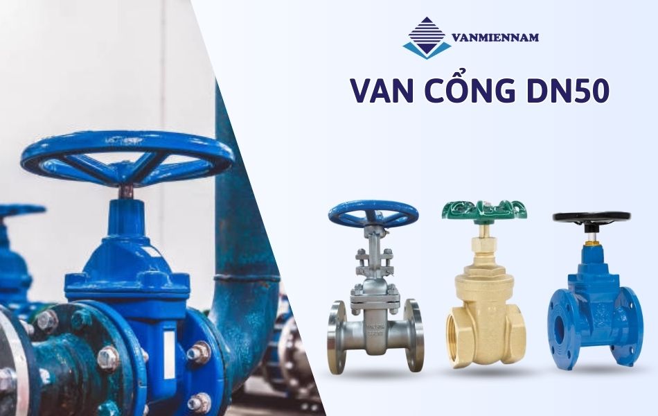 van cổng DN50