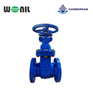 Van cổng gang ty chìm Wonil DN100