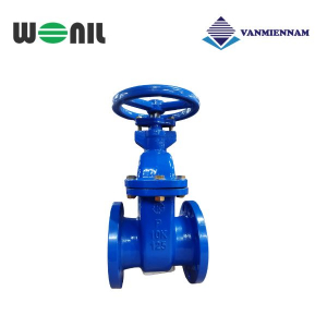 Van cổng gang ty chìm Wonil DN125