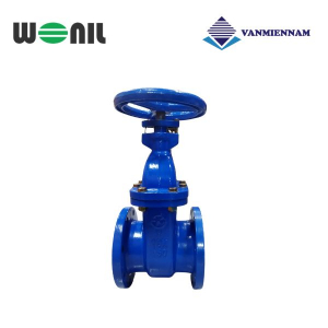 Van cổng gang ty chìm Wonil DN150
