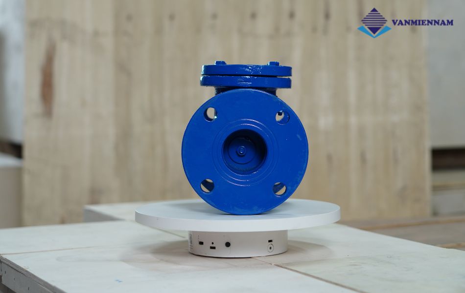 van 1 chiều lá lật gang mặt bích Wonil DN65