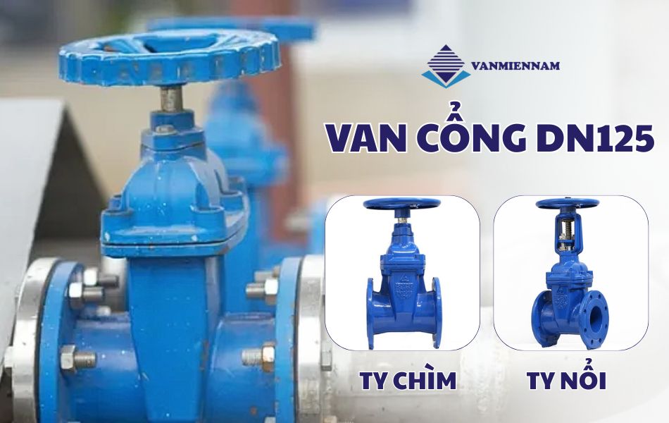 Giới thiệu về van cổng DN125