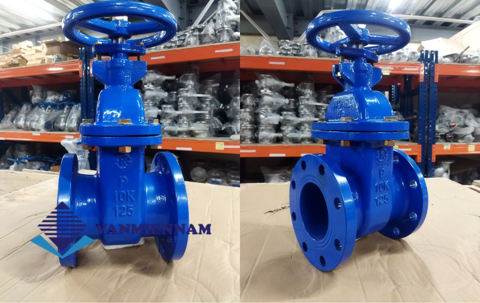 Phân loại van cổng DN125 theo chất liệu