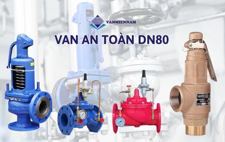 Van an toàn DN80