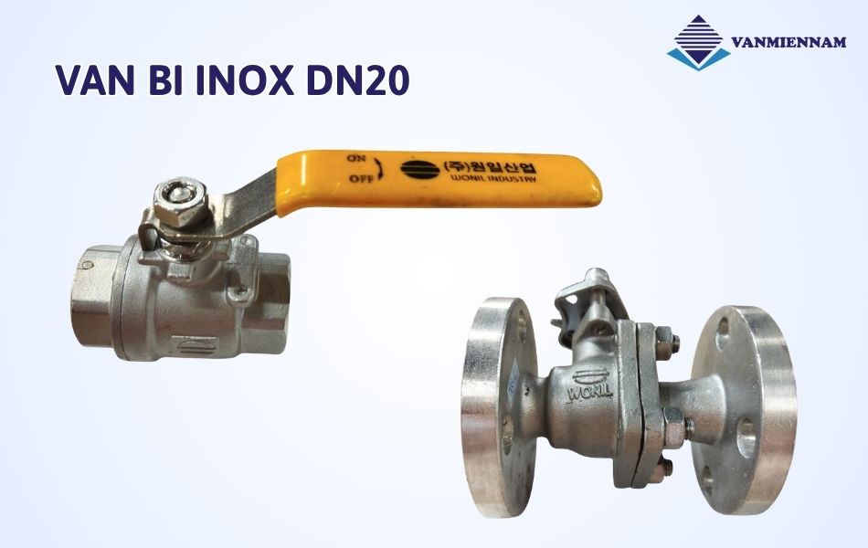 Van bi inox DN20