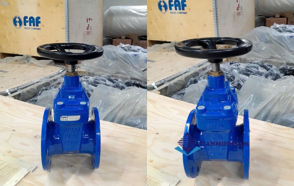 Van cổng FAF DN125