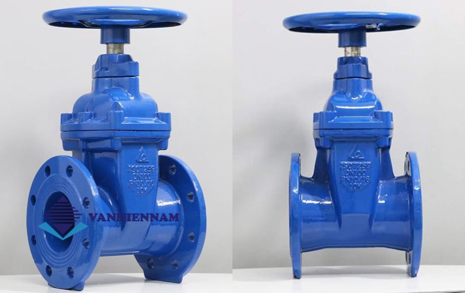 Van cổng Shinyi DN125