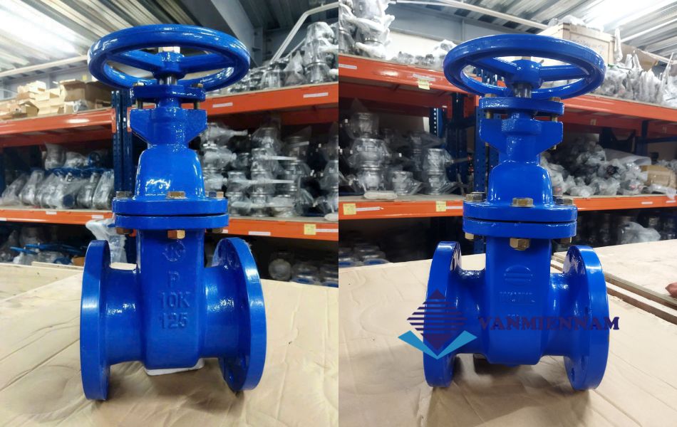 Van cổng Wonil DN125
