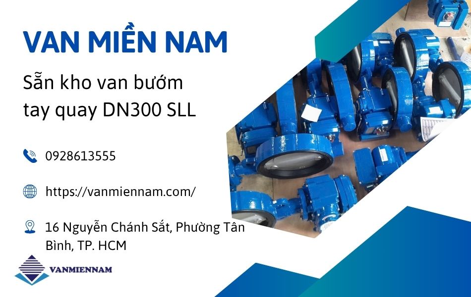 mua van bướm tay quay dn300