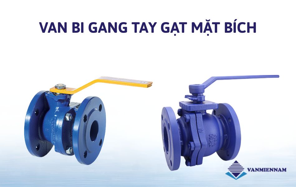 Van bi gang tay gạt mặt bích