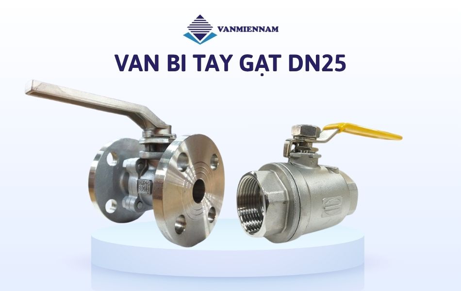 Van bi tay gạt DN25