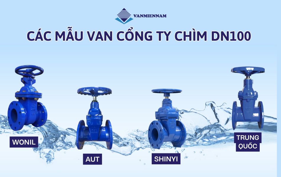 Các mẫu van cổng ty chìm DN100 thông dụng