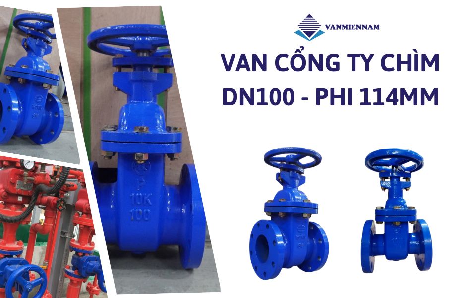Van cổng ty chìm dn100