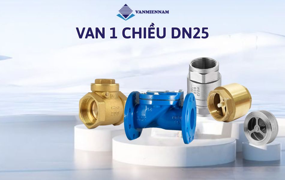 van 1 chiều dn25